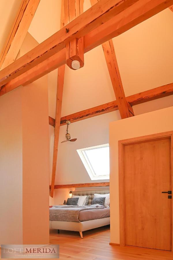 Loft Merida - Designer Apartment With Large Bathtub Butgenbach Extérieur photo